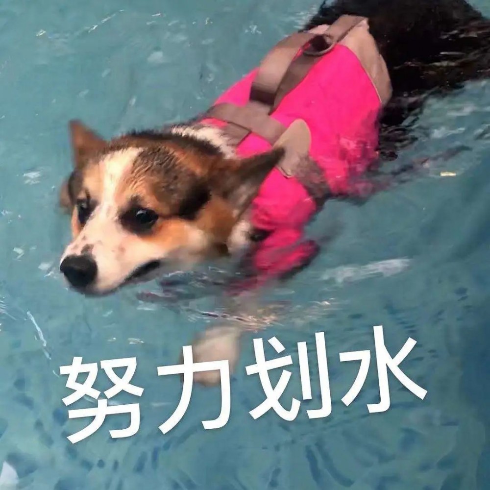 【一游泳就红眼】夏季游泳如何远离“红眼病”？