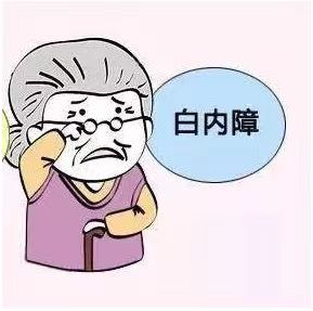 【警惕】“视界杀手”｜沈医生带您全面了解白内障的真相与科学防治